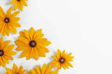 Çiçek kompozisyonu. Desen beyaz arka plan üzerinde sarı çiçeklerden yapılmış. Yaz ve sonbahar konsepti. Düz döşeme, üst görünüm, kopyalama alanı
