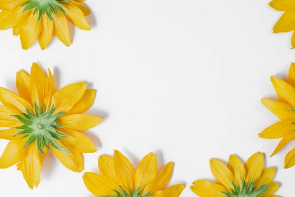 Composição de flores. Lindas flores amarelas representadas no fundo branco. Conceito de verão e outono. Flat lay, vista superior, espaço de cópia — Fotografia de Stock