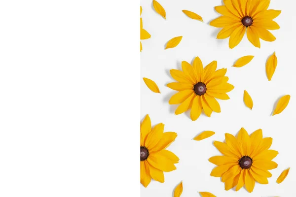 Yellow flowers represented on white background. Many flowers for — Stock Photo, Image