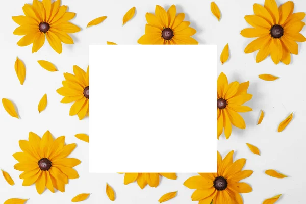 Kreatywny skład z kwiatami. Żółte kwiaty reprezentowane na — Zdjęcie stockowe