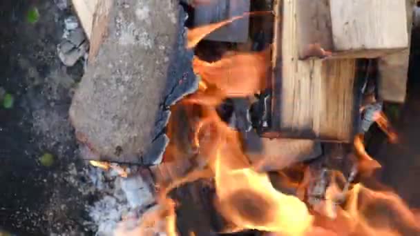 Fermez Les Flammes Feu Joie Dans Nature Concept Aventure Vacances — Video