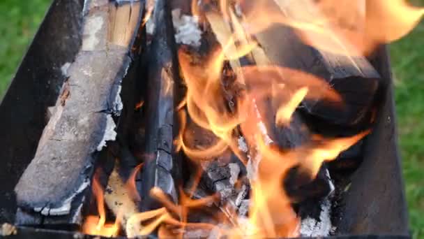 Közelről Lángoló Tábortűz Parazsat Nyári Időszakban Koncepció Kaland Aktív Vakáció — Stock videók