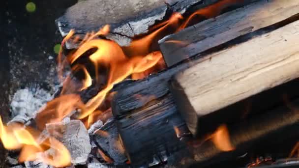 Közelről Lángoló Tábortűz Parazsat Nyári Időszakban Koncepció Kaland Aktív Vakáció — Stock videók