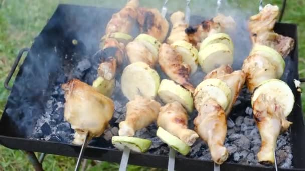 Primer Plano Cocción Kebabs Brochetas Sobre Fuego Aire Libre Carne — Vídeo de stock
