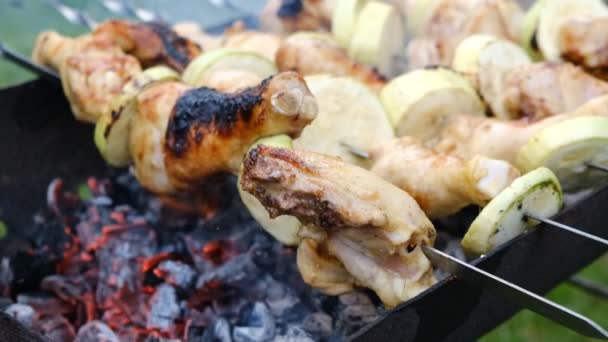 Juicy Kebab Barbecue Grill Slow Motion Cooking Kebabs Skewers Fire — Stock Video