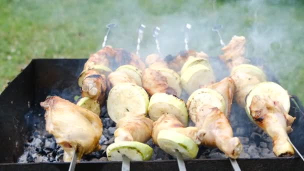 Közelről Főzés Kebab Nyárson Egy Tüzet Szabadban Nyers Hús Főtt — Stock videók