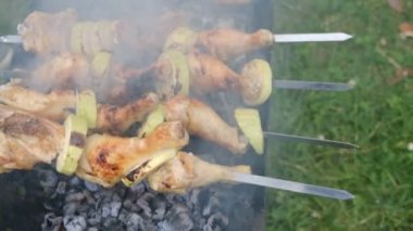 Izgara yavaş hareket sulu kebap barbekü. Köyde kırsal bir ateş üzerinde şişler üzerinde kebap pişirme. Çiğ et kömür ızgarada pişirilir.