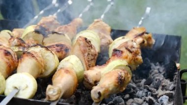 Izgara yavaş hareket sulu kebap barbekü. Köyde kırsal bir ateş üzerinde şişler üzerinde kebap pişirme. Çiğ et kömür ızgarada pişirilir.