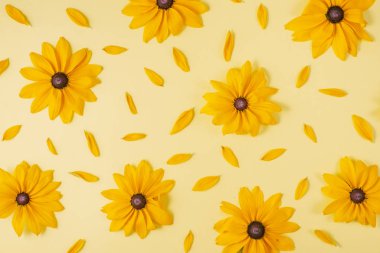 Çiçek kompozisyonu. Sarı arka plan üzerinde sarı çiçeklerden yapılmış desen. Yaz ve sonbahar konsepti. Düz döşeme, üst görünüm, kopyalama alanı