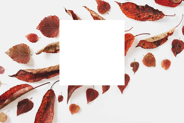 Herbstkomposition. getrocknete Blätter und weißer Rahmen auf pastellgrauem Hintergrund. Herbst- und Erntedankfest. flache Lage, Draufsicht, Kopierraum — Stockfoto