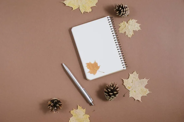 Werkruimte met gouden esdoorn bladeren, hobbels, notebook en pen op bruine achtergrond. Creatieve compositie. Herfst-of winter concept. Platte lay, bovenaanzicht — Stockfoto