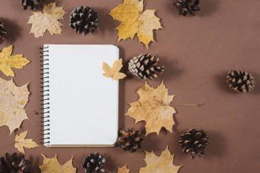Sonbahar kompozisyon. Notebook, sonbahar akçaağaç yaprakları ve kahverengi arka planda darbelere. Düz yatıyordu, üst görünüm, kopya alanı.