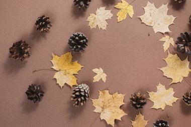 Sonbahar kahverengi arka planda çarpmalar ile desen yaprakları. Yaratıcı doğa kavramı. Düz yatıyordu, üst görünüm, kopya alanı.