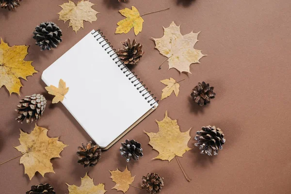 Herfst bladeren patroon met hobbels en notebook op bruine achtergrond. Creatief natuur concept. Platte lay, bovenaanzicht, kopieer ruimte. — Stockfoto