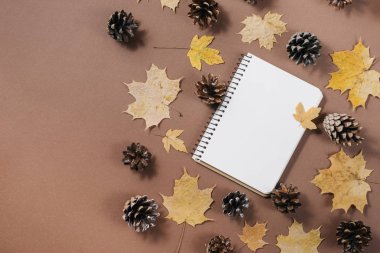 Sonbahar kompozisyon. Notebook, sonbahar akçaağaç yaprakları ve kahverengi arka planda darbelere. Düz yatıyordu, üst görünüm, kopya alanı.
