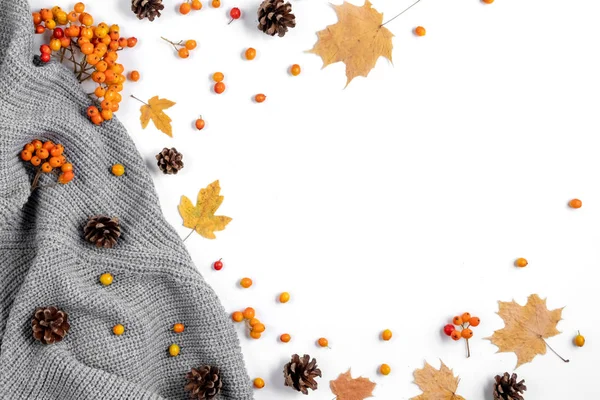 Autumn composition. Maple leaves, cones, sweater and rowan on white background.Autumn, fall, thanksgiving day concept. Flat lay, top view, copy space. — Stock Photo, Image