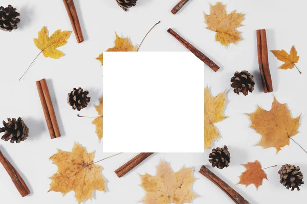 Herbstkomposition. getrocknete Ahornblätter, Zimt, Zapfen und weißer Rahmen auf pastellgrauem Hintergrund. Herbst- und Erntedankfest. flache Lage, Draufsicht, Kopierraum — Stockfoto