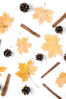 Sonbahar kompozisyon. Kurutulmuş akçaağaç yaprakları, tarçın, beyaz arka planda koni. Sonbahar ve Şükran günü konsepti. Düz yatıyordu, üst görünüm, kopya alanı