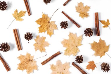 Sonbahar kompozisyon. Kurutulmuş akçaağaç yaprakları, tarçın, beyaz arka planda koni. Sonbahar ve Şükran günü konsepti. Düz yatıyordu, üst görünüm, kopya alanı