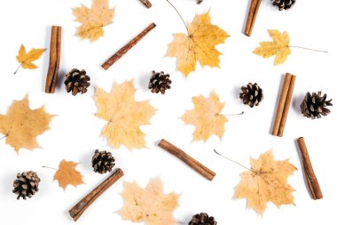 Sonbahar kompozisyon. Desen kurutulmuş akçaağaç yaprakları, tarçın, beyaz arka planda koni yapılmış. Sonbahar ve Şükran günü konsepti. Düz yatıyordu, üst görünüm, kopya alanı