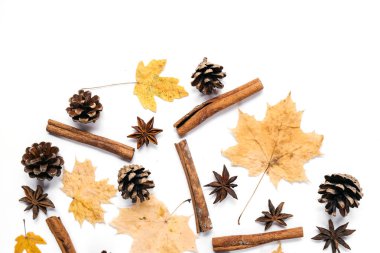 Kurutulmuş akçaağaç yaprakları, tarçın, beyaz arka planda koni. Sonbahar ve Şükran günü konsepti. Düz yatıyordu, üst görünüm, kopya alanı