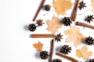 Sonbahar kompozisyon. Kurutulmuş akçaağaç yaprakları, tarçın, beyaz arka planda koni. Sonbahar ve Şükran günü konsepti. Düz yatıyordu, üst görünüm, kopya alanı