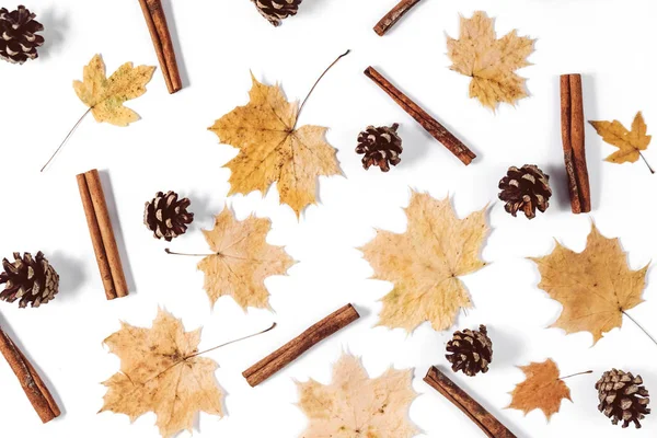 Sonbahar kompozisyon. Kurutulmuş akçaağaç yaprakları, tarçın, beyaz arka planda koni. Sonbahar ve Şükran günü konsepti. Düz yatıyordu, üst görünüm, kopya alanı
