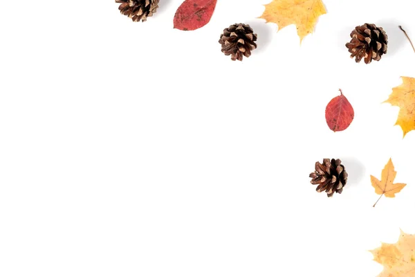 Herbst minimale Zusammensetzung. getrocknete Blätter, Zapfen auf weißem Hintergrund. Herbst, Herbst, Halloween, Erntedankfest. flache Lage, Draufsicht, Kopierraum — Stockfoto