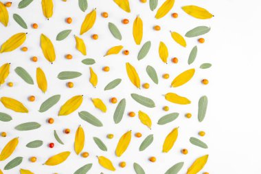 Sonbahar yaratıcı kompozisyon. Beyaz arka planda yaprakları ve Rowan yapılmış çelenk. Sonbahar, sonbahar, Cadılar Bayramı, Şükran günü konsepti. Düz yatıyordu, üst görünüm, kopya alanı