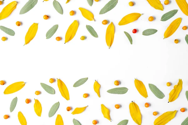 Höstens kreativa komposition. Krans gjord av löv och rönn på vit botten. Höst, höst, Halloween, Thanksgiving Day koncept. Platt Lay, uppifrån, kopiera utrymme — Stockfoto