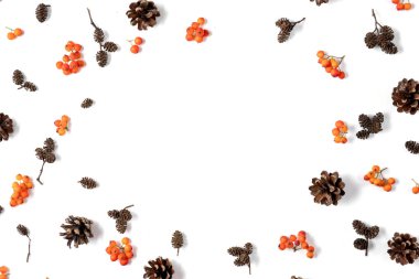 Sonbahar kompozisyonu. Desen berry rowan yapılmış, beyaz arka plan üzerinde koniler. Sonbahar, sonbahar, cadılar bayramı, şükran günü konsepti. Düz döşeme, üst görünüm, kopyalama alanı