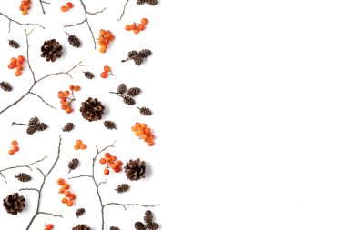 Sonbahar yaratıcı kompozisyon. Desen berry rowan yapılmış, beyaz arka plan üzerinde koniler. Sonbahar, sonbahar, şükran günü konsepti. Düz döşeme, üst görünüm, kopyalama alanı.