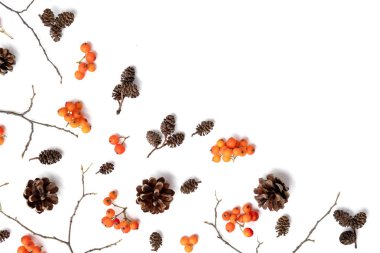 Sonbahar yaratıcı kompozisyon. Desen berry rowan yapılmış, beyaz arka plan üzerinde koniler. Sonbahar, sonbahar, şükran günü konsepti. Düz döşeme, üst görünüm, kopyalama alanı.