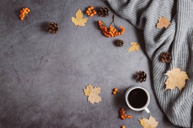 Sonbahar kompozisyonu. Kahve, kazak, koni, berry rowan ve sonbahar bir fincan koyu beton arka plan üzerinde akçaağaç bırakır. Sonbahar, kış konsepti. Düz döşeme, üst görünüm, kopyalama alanı