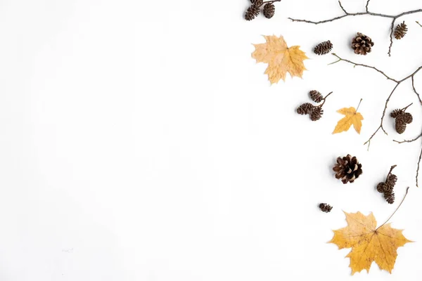 Podzimní skladba. Žlutě sušené javorový lístky, kužele na bílém podkladu. Podzim, podzim, Halloween, pojem dne Díkůvzdání. Plochý, pohled shora, kopírovat prostor — Stock fotografie