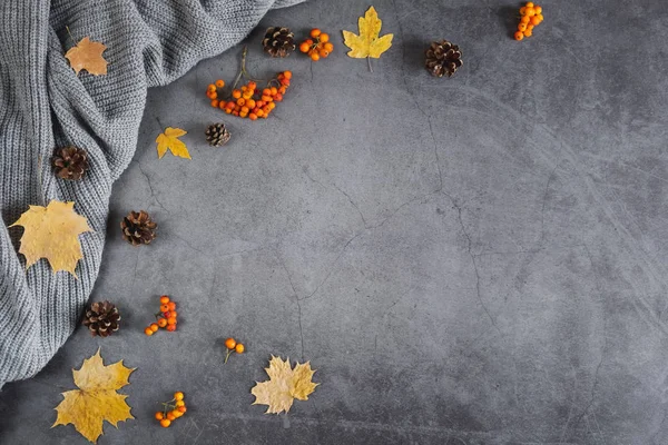 가을 구성. 스웨터, 콘, 베리 로완과 가을 은 어두운 콘크리트 배경에 단풍 단풍. 가을, 겨울 컨셉. 플랫 레이, 상단 보기, 복사 공간 — 스톡 사진