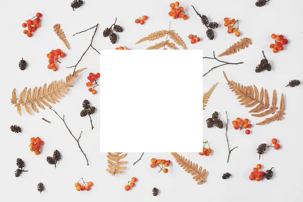 秋の作曲。ベリーローワン、乾燥シダの葉、コーンとパステルグレーの背景に白いフレームで作られたパターン。秋、秋、感謝祭のコンセプト。クリエイティブフラットレイ、トップビュー、コピースペース — ストック写真