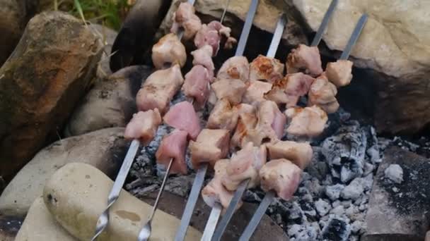 Primo Piano Del Tradizionale Piatto Picnic Cucinare Shish Kebab Spiedini — Video Stock