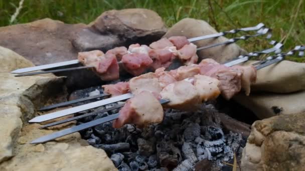 Matlagning Shish Kebab Spett Utomhus Mat För Grillfest Rått Kött — Stockvideo