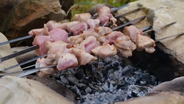 Närbild Traditionell Picknick Maträtt Matlagning Shish Kebab Spett Utomhus Mat — Stockvideo