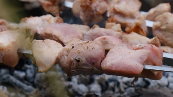 Carne Crua Carvão Madeira Cozinhar Kebab Shish Espetos Livre Pedaços — Vídeo de Stock