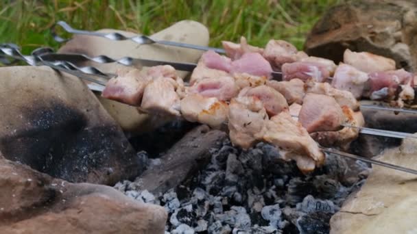 Matlagning Shish Kebab Spett Utomhus Mat För Grillfest Rått Kött — Stockvideo