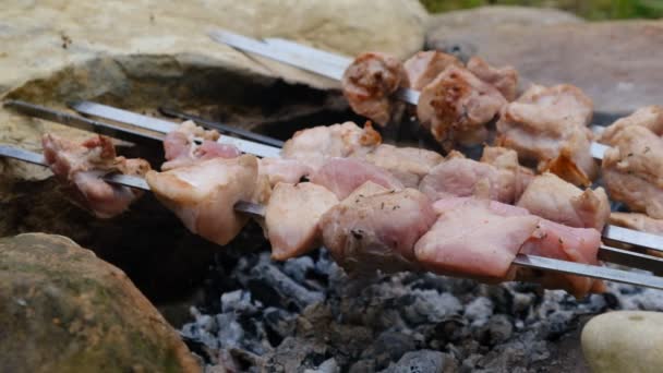 Ruw Vlees Hout Kolen Koken Shish Kebab Spiesjes Buitenlucht Varkens — Stockvideo