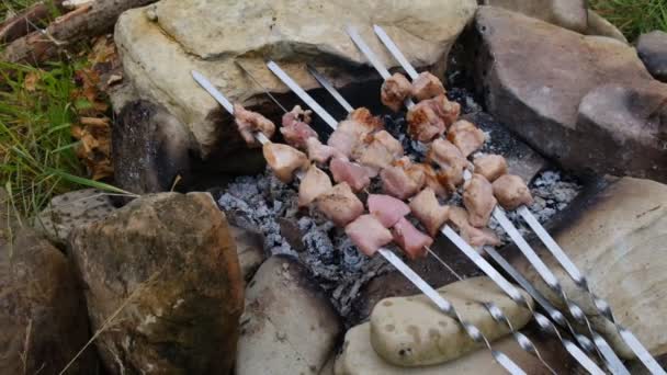 Carne Crua Carvão Madeira Cozinhar Kebab Shish Espetos Livre Pedaços — Vídeo de Stock