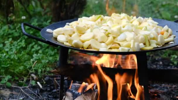 Closeup Homemade Cooking Delicious Fried Potatoes Outdoor Conditions Fire Fire — Stock Video