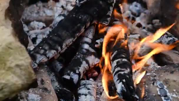 Közelről Lángoló Tábortűz Parazsat Őszi Időben Koncepció Kaland Aktív Vakáció — Stock videók