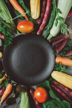 Koyu arka plan üzerinde mısır, domates, kabak, havuç, pancar, sarımsak, fasulye ve siyah plaka yapılmış Yaratıcı düzeni. Gıda konsepti. Düz yatıyordu, üstten bak. Metniniz için boş alan.