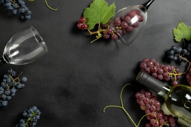 Beyaz şarap şişesi, iki şarap kadehi, taze üzüm ve siyah ahşap arka plan üzerinde yaprakları. Düz döşeme, üst görünüm, kopyalama alanı. Şarap barı, şaraphane, şarap tatma konsepti