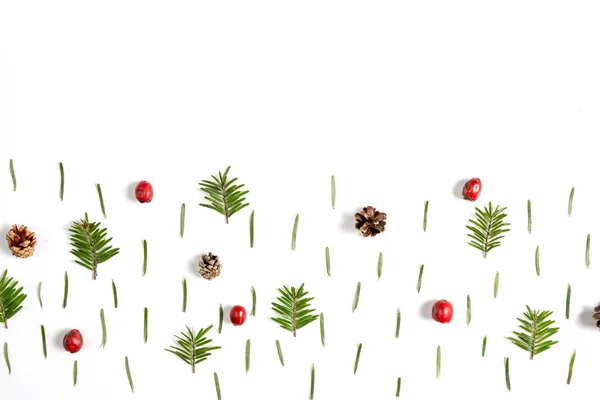 Vinter komposition. Mönster av trädgrenar, tall kon och bär på vit bakgrund. Jul, vinter, nyårs koncept. Platt Lay, uppifrån, kopiera utrymme — Stockfoto