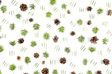 Noel kompozisyonu. Desen beyaz arka plan üzerinde ağaç dalları ve çam koni yapılmış. Noel, kış, yeni yıl konsepti. Düz döşeme, üst görünüm, kopyalama alanı